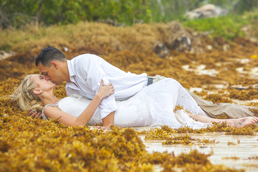 Will Caribbean Seaweed Affect Your Beach Wedding?